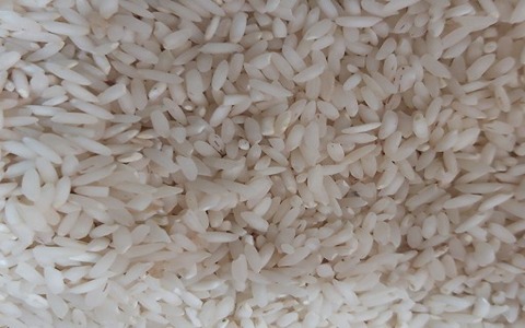 تصویر 4 از خرید و قیمت برنج چمپا خوزستان + فروش عمده